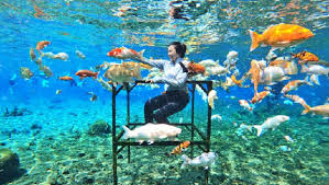 Wisata “Coolcation” dan Immersive Travel di Indonesia 2025: Kenapa Tren Ini Bangkit?